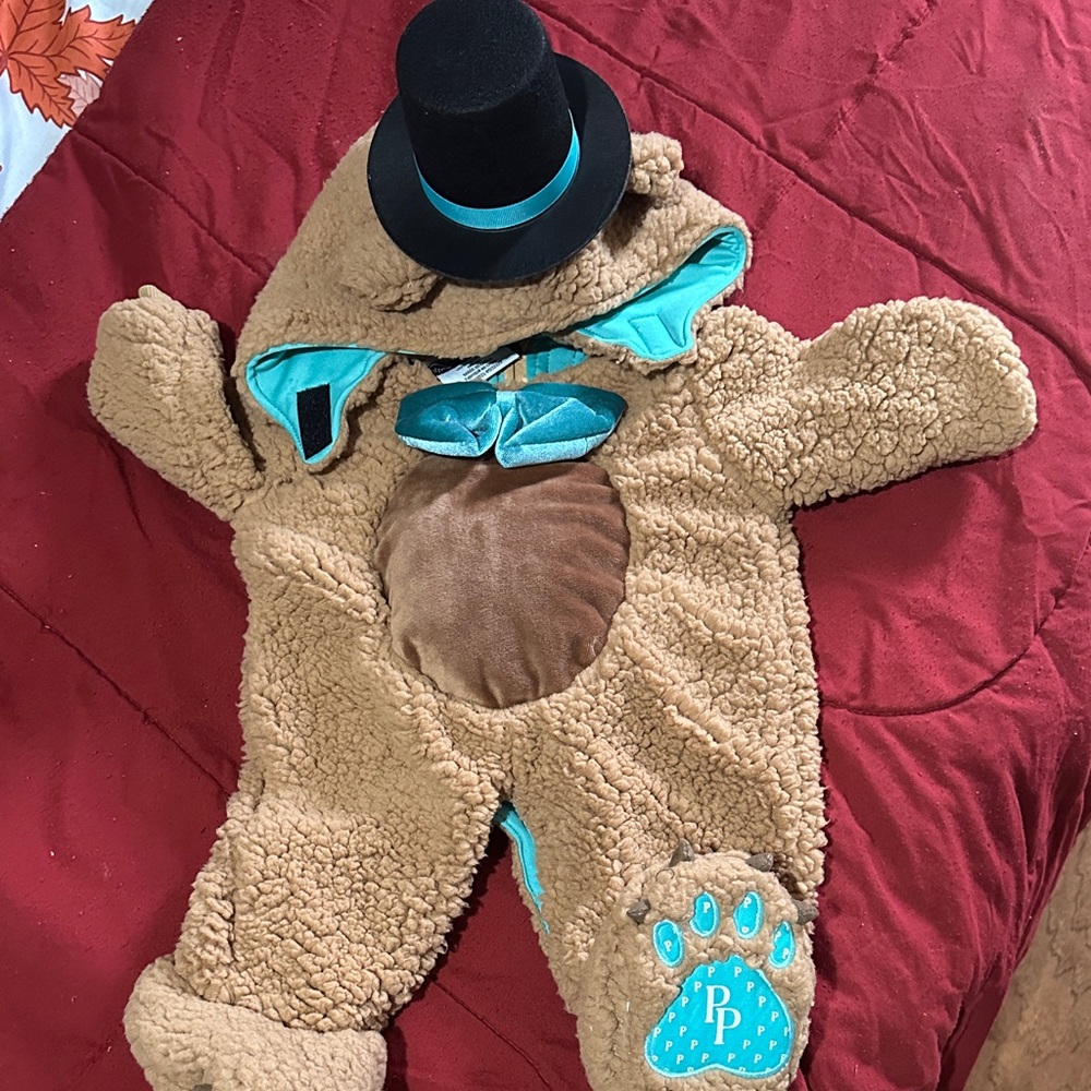 Adorable Bear Costume with Hat